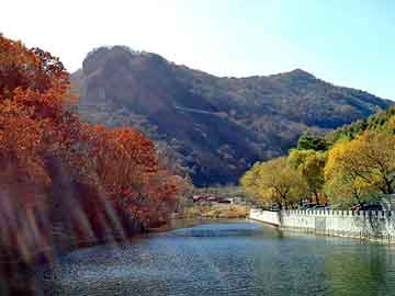 新澳天天开奖资料大全旅游团，郑州抽纸厂家